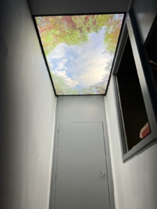 WhatsApp Image 2026-03-10 at 16.44.11 (1)