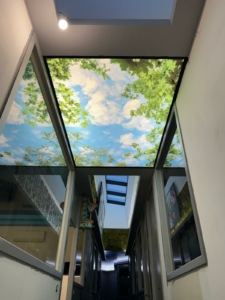 WhatsApp Image 2026-03-10 at 16.44.11